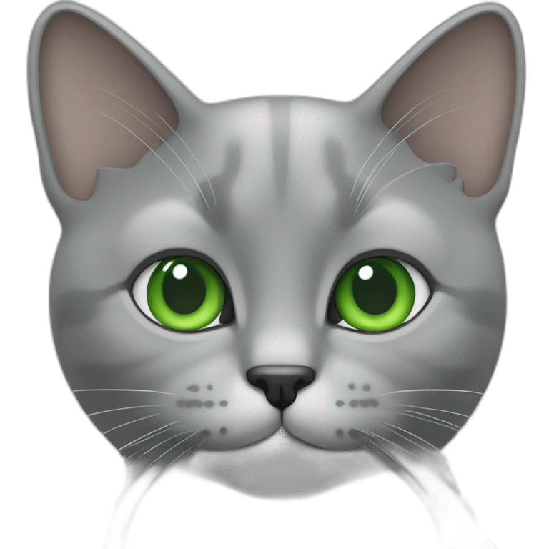 Un chat gris avec les yeux vert emoji