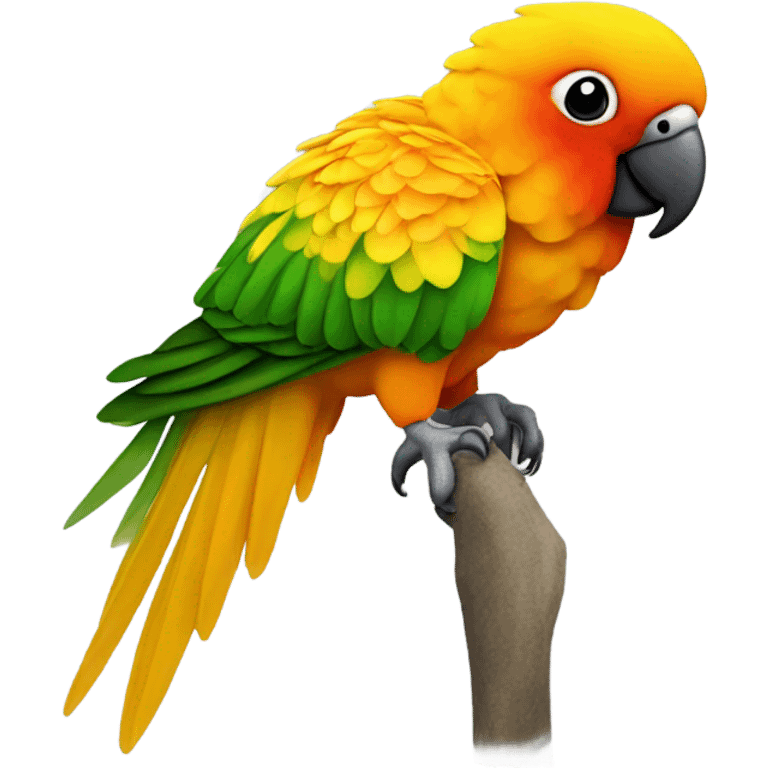 Sun conure emoji