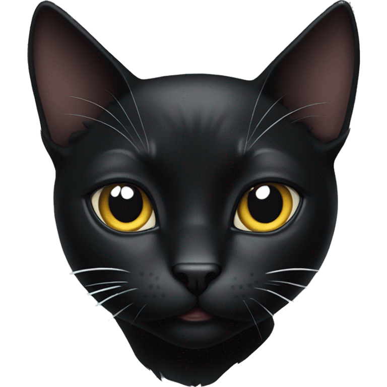 Black cat with a white stain on chest emoji