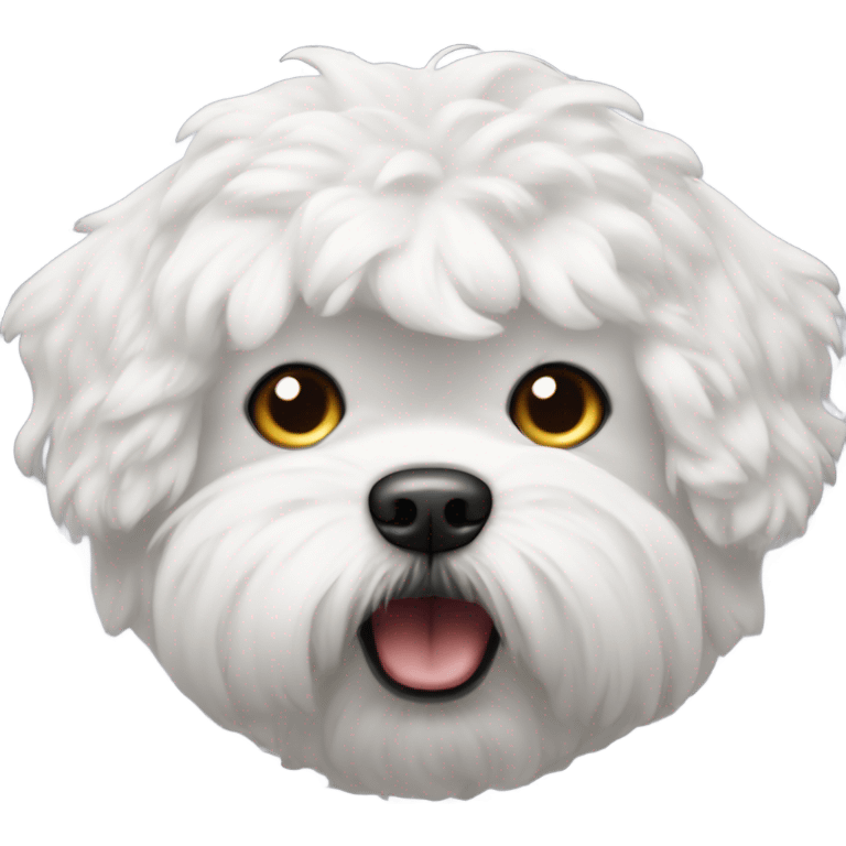 An angry looking bichon face emoji