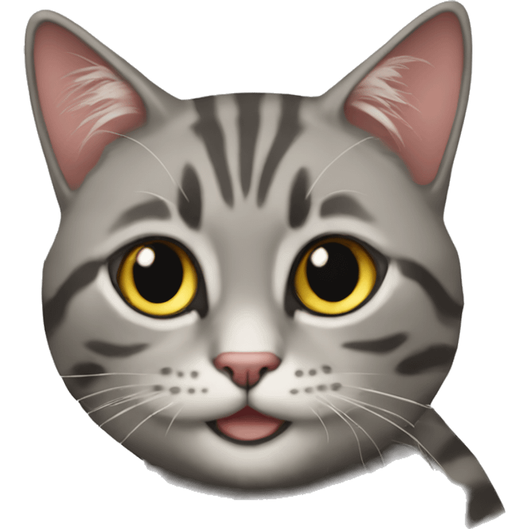 seni seviyorum yapan kedi emoji