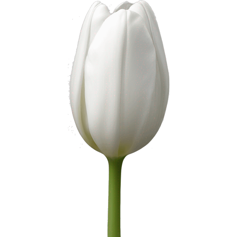 White tulip with sem emoji