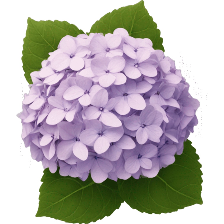 Hydrangea emoji