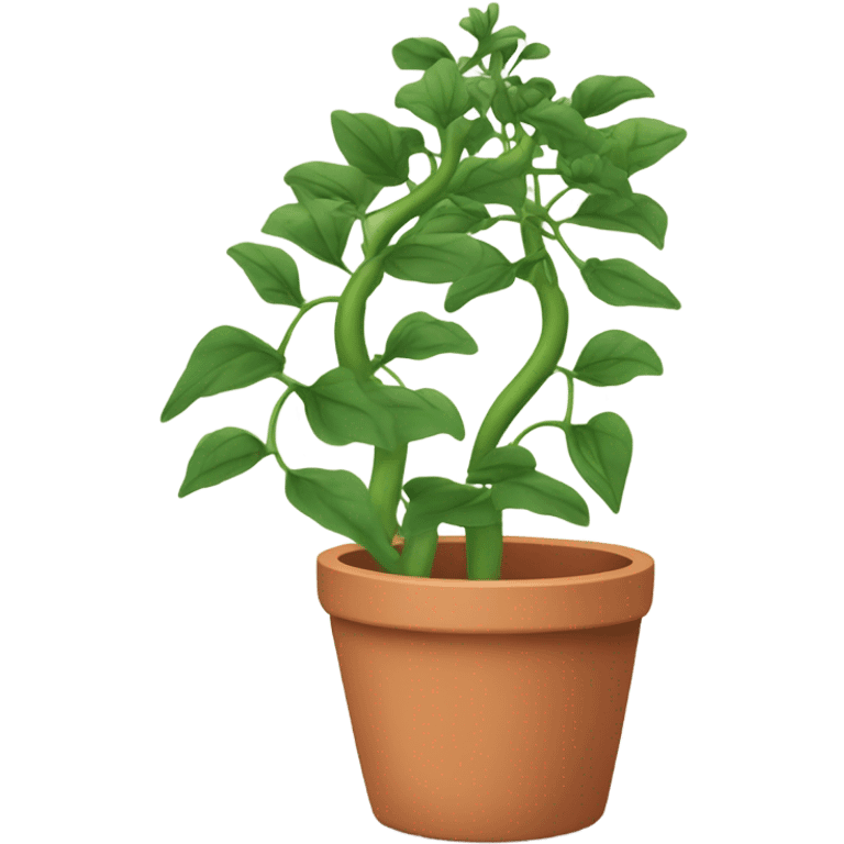 a Climbing Plant in a pot emoji