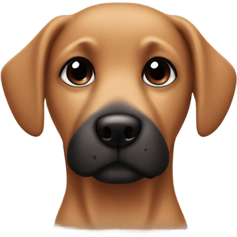 cute brown dog with black nose and black around eyes  emoji