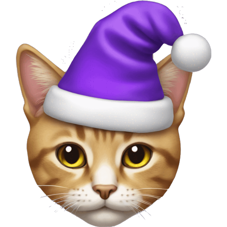 Cat with purple Santa hat emoji