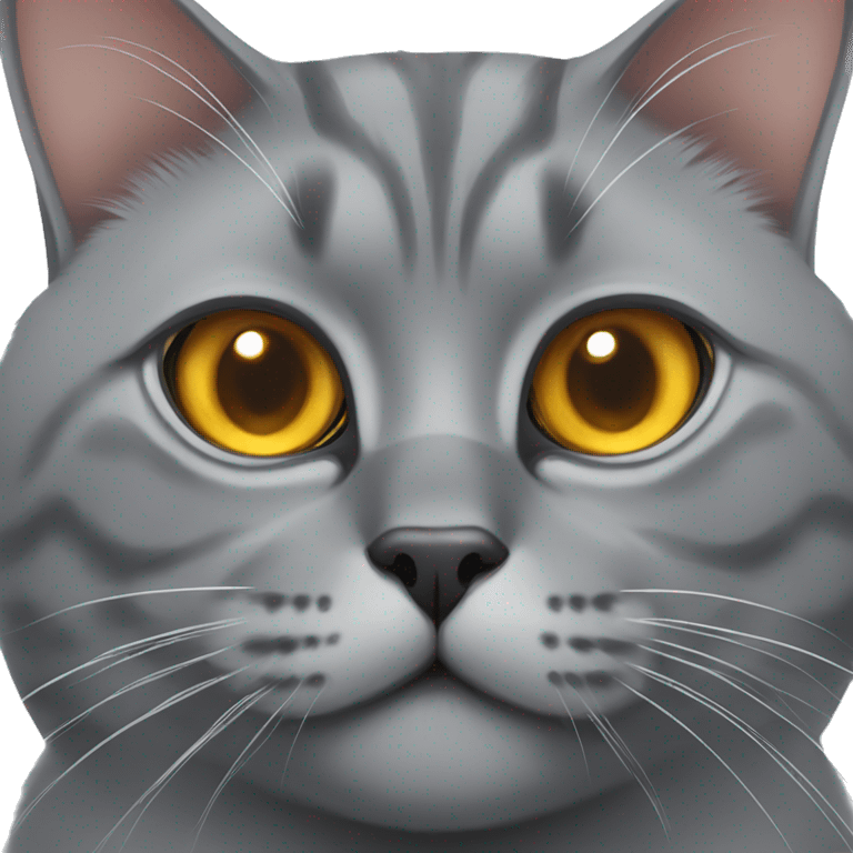 British grey cat with big beautiful amber eyes emoji