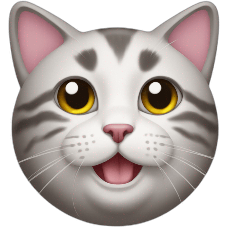 Tiktok cat emoji