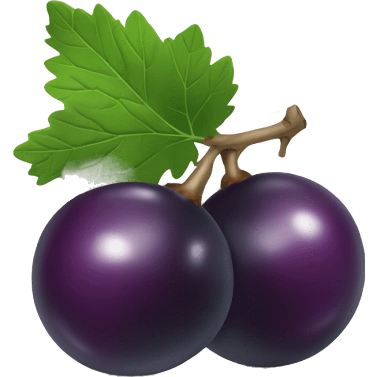 two Blackcurrant emoji