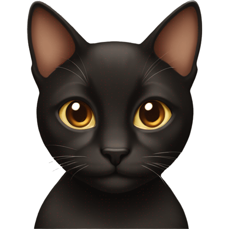 Black and brown cat emoji