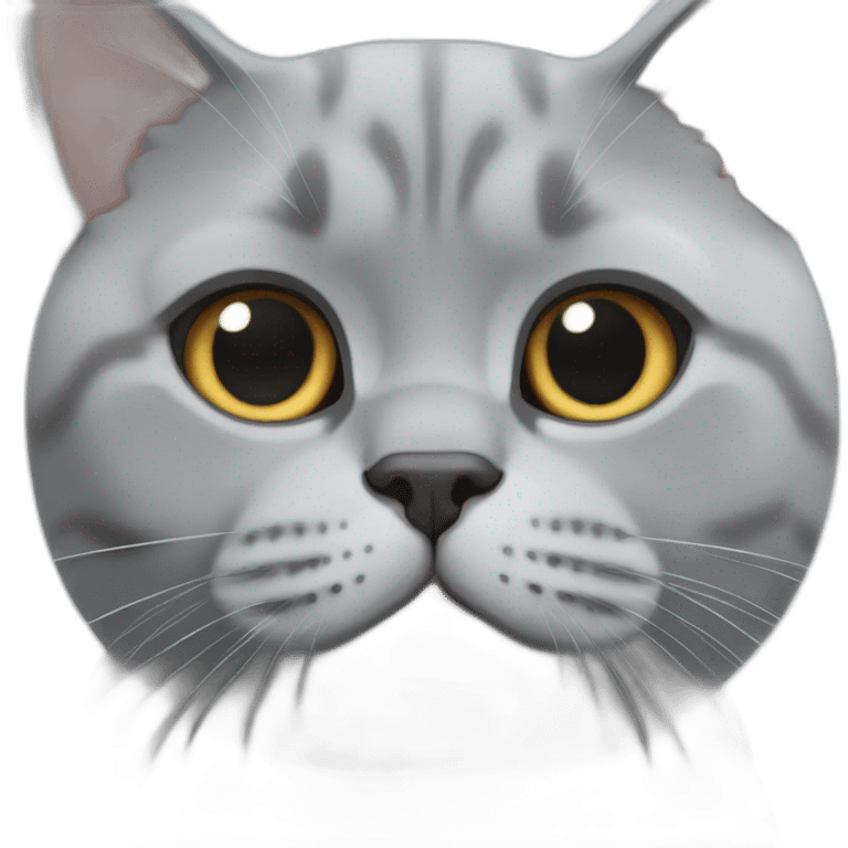 british shorthair emoji