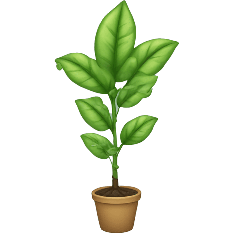 Esqueje de planta en agua emoji