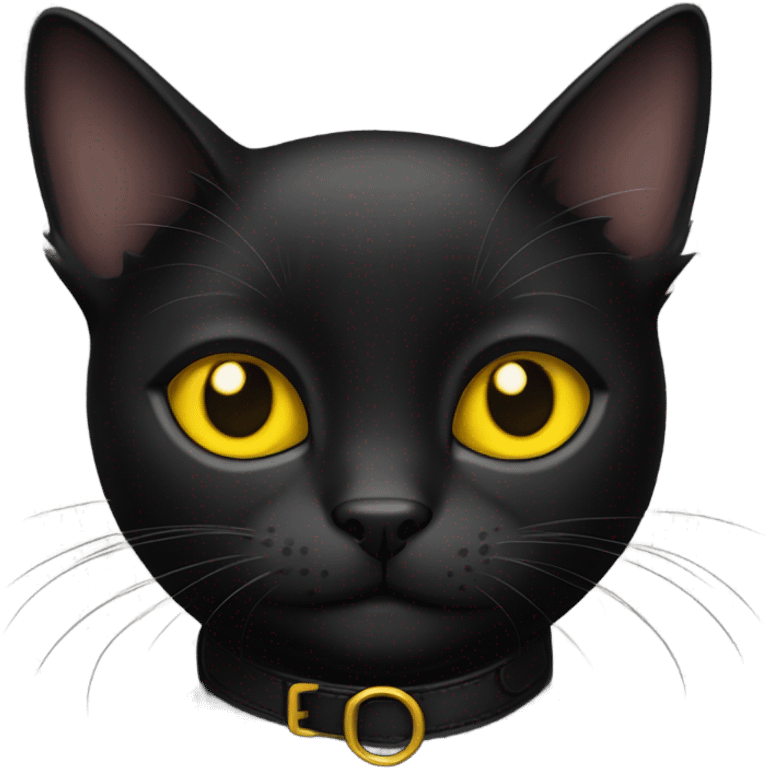 a black cat with bright yellow eyes and a collar with the name kai on it emoji