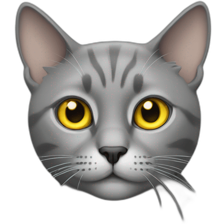 Cat with yellow eye and grey eye emoji