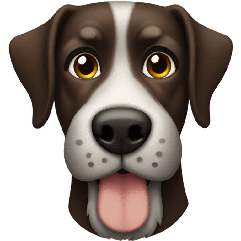 Dark Brown dog with floppy ears, and a green collar and a brown nose and a gray beard emoji