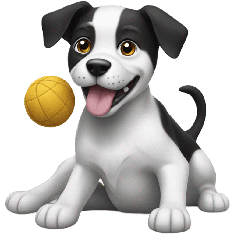 black and white dog playing with a toy emoji