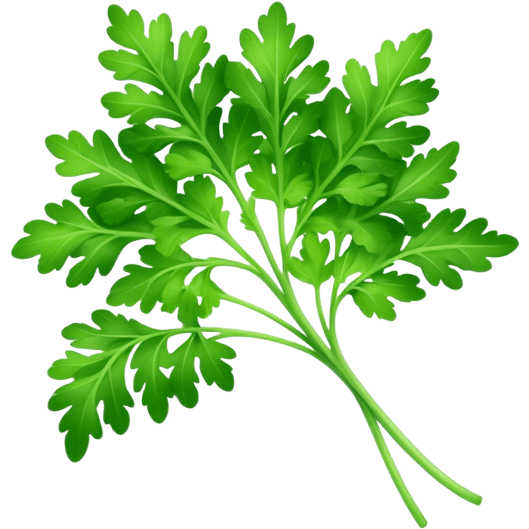 Cinematic Realistic Parsley Emoji, Fresh and vibrant, with bright green, frilly leaves that seem to shimmer with vitality. The plant exudes a sense of healthy growth and aromatic zest, inviting both beauty and flavor into any dish. Soft glowing outline, capturing the essence of freshness, health, and culinary delight in a sprig of parsley! emoji