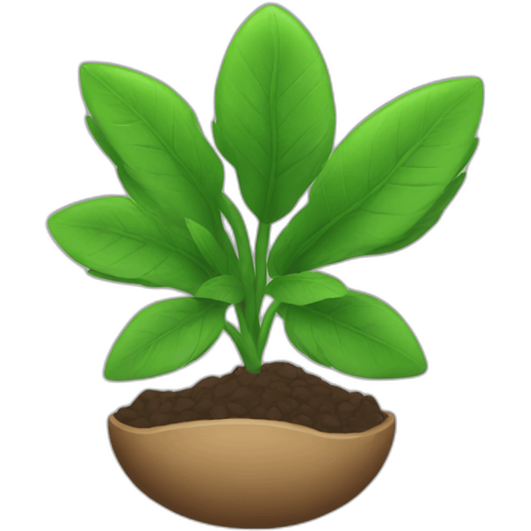 plant-seed emoji