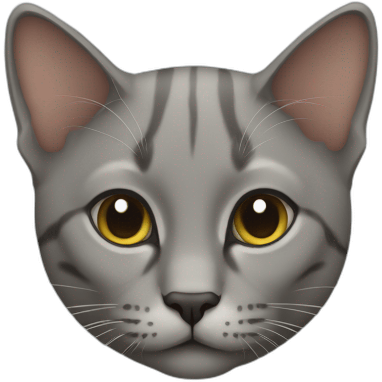 abi cat emoji