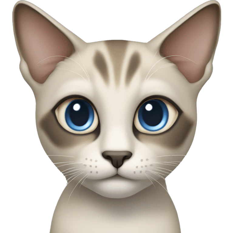 Thai breed adult cat with a light cream-brown body, dark gray nose and face, ears, and paws. sharp ears, and striking light blue eyes  emoji