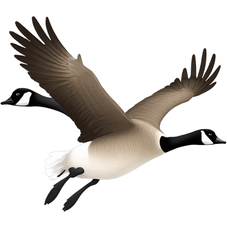 Canada goose in flight emoji