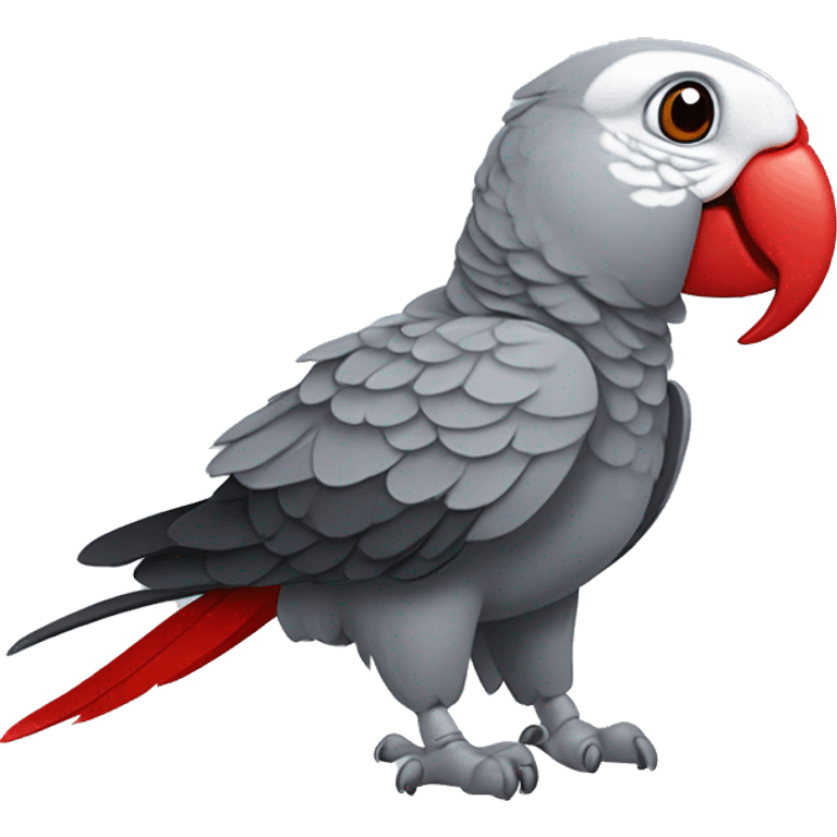 African grey parrot with red feather on his tail and not on his head emoji