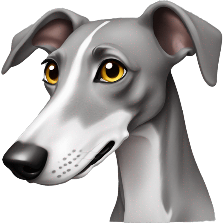 galgo mit kopftuch emoji