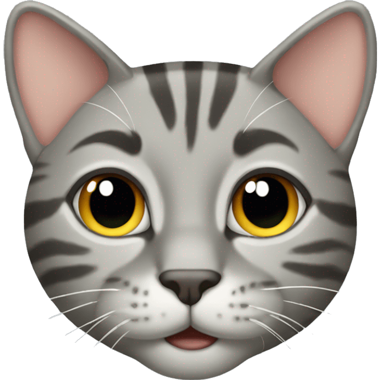 Gray tabby cat  emoji