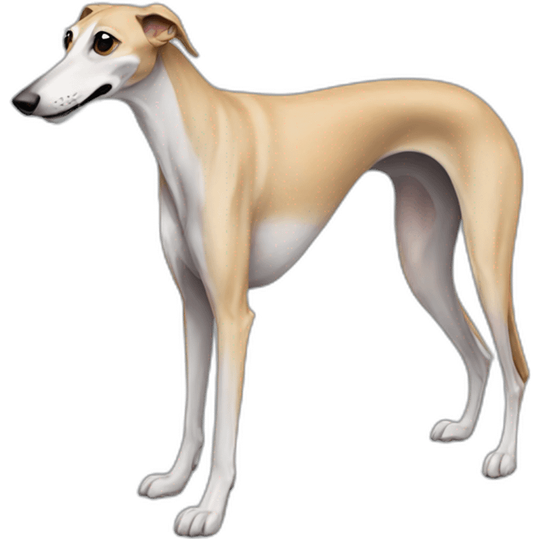 Galgo emoji