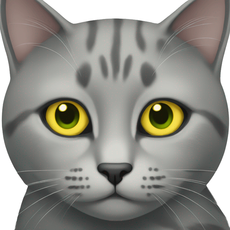 Gray cat with yellow green eyes  emoji