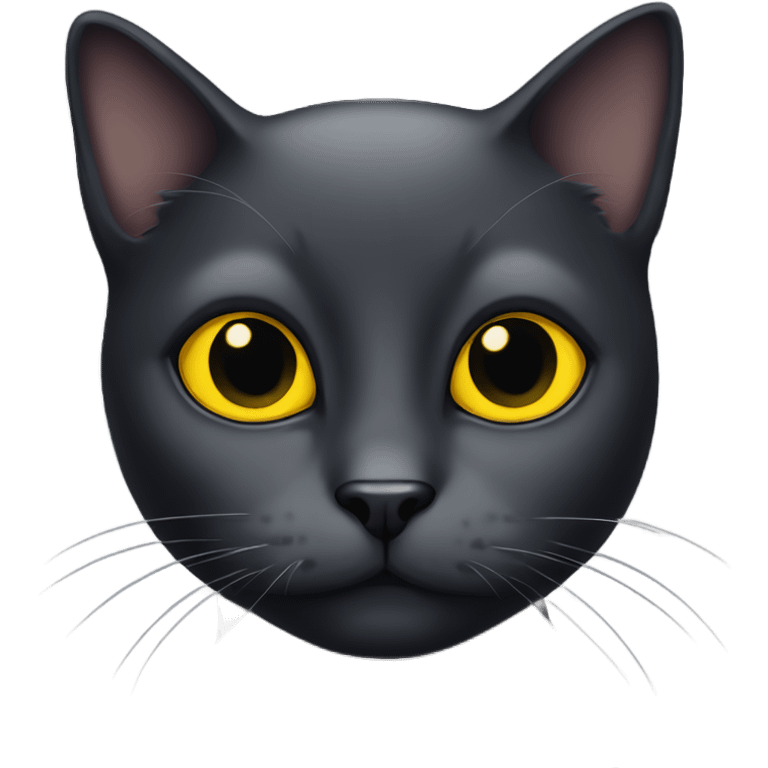 Black cat with yellow eyes  emoji