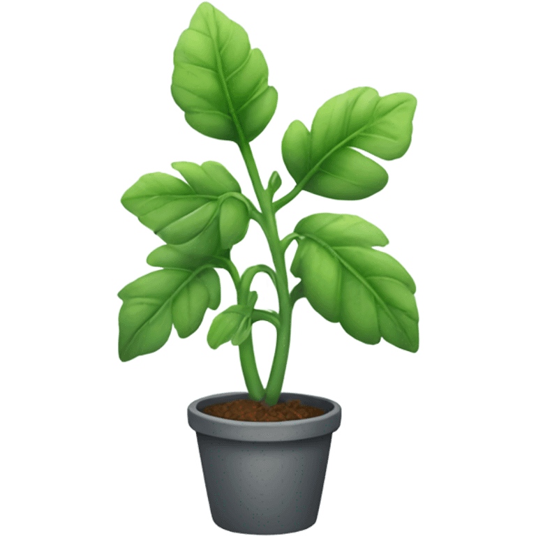 foggy green plant emoji