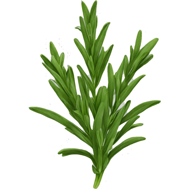 Tarragon  emoji