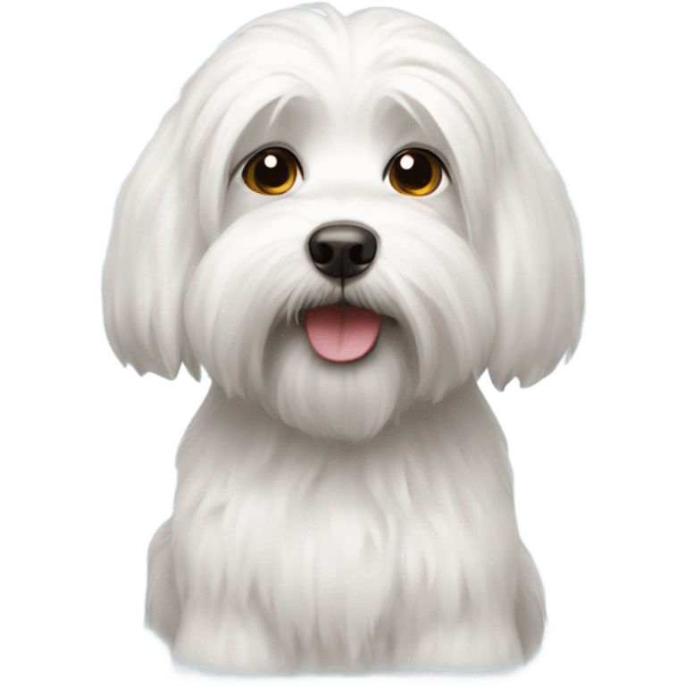 Lowchen white dog emoji