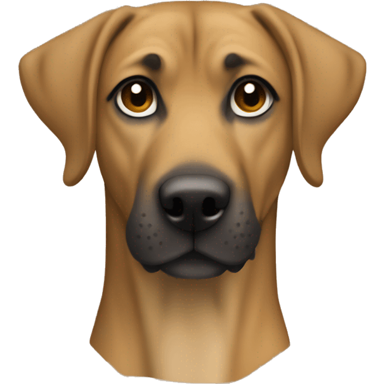 Black mouth cur dog with brown golden fur emoji