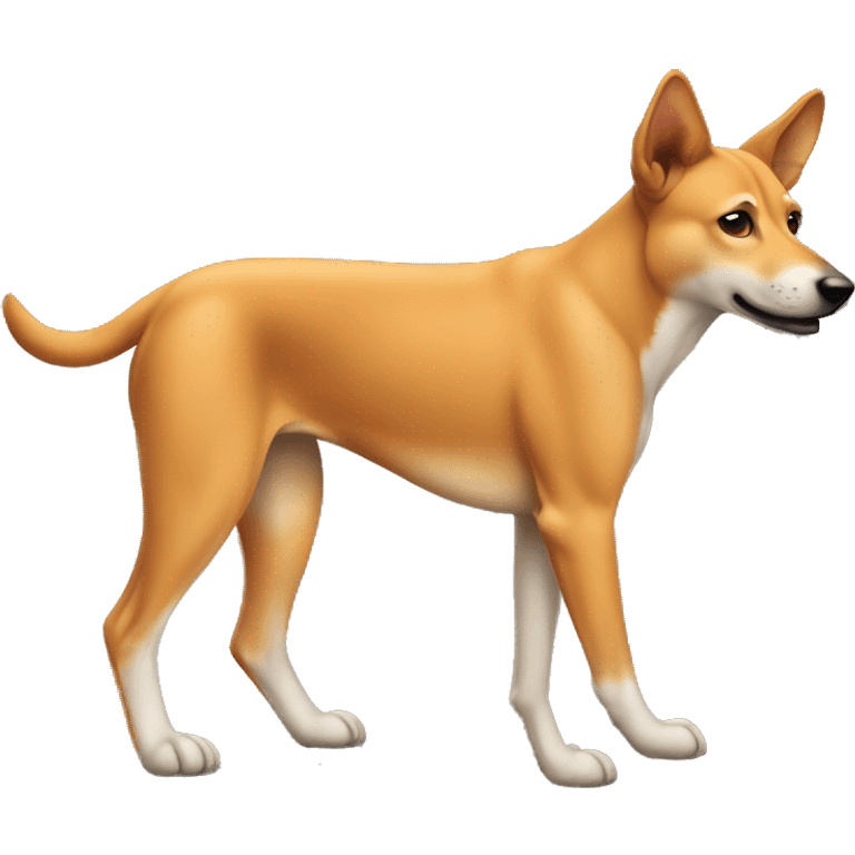 dog similar to a dingo, orange color, brownish snout, thick body, small head, thin tail, emoji