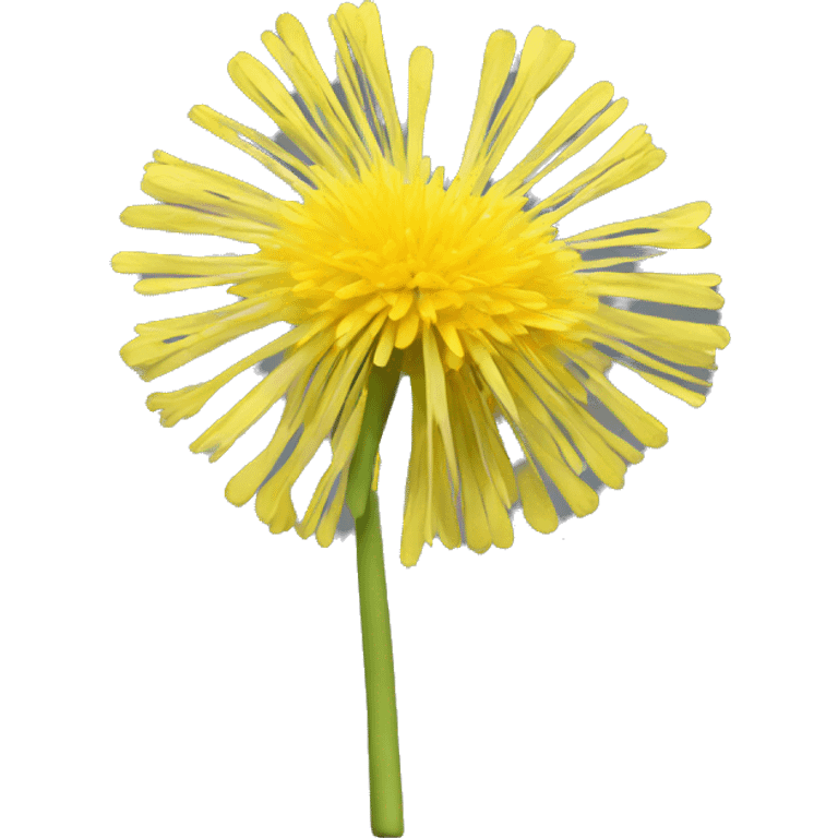 a 3d yellow dandelion like the memoji emoji