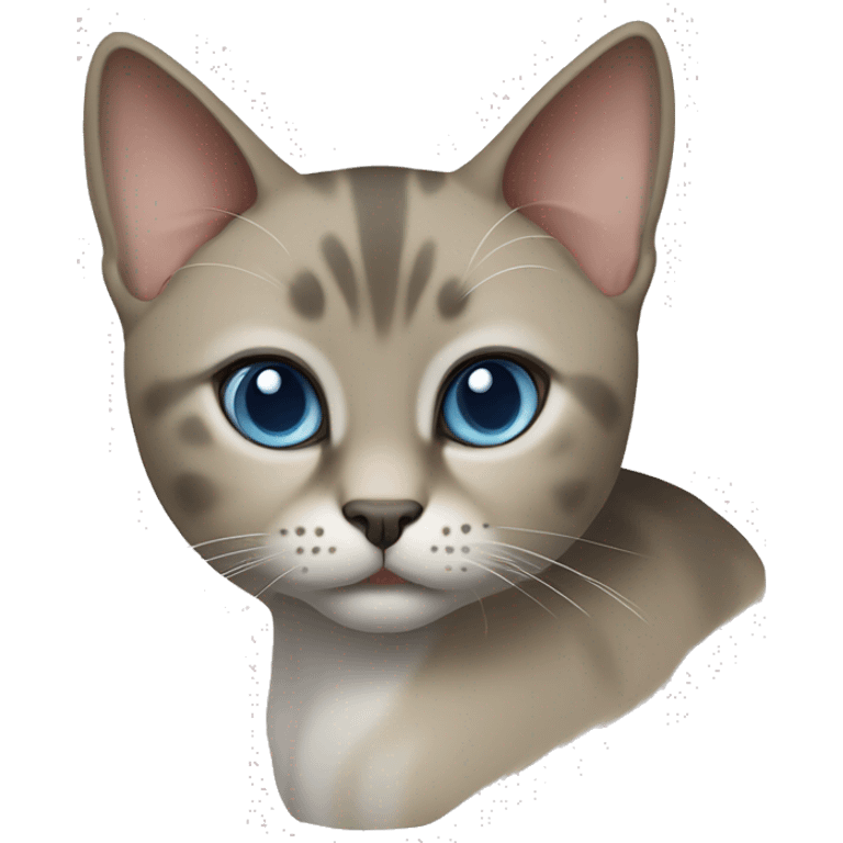 Thai breed cat with a light cream-brown body, dark gray face, ears, and paws. Short fur, sharp ears, and striking light blue eyes with an intense gaze. emoji