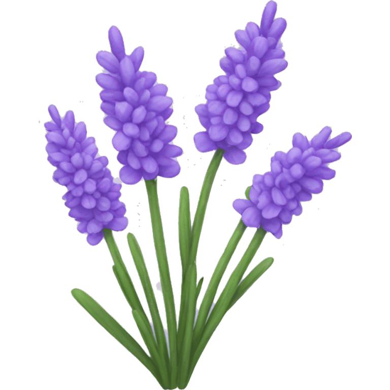 Lavender emoji