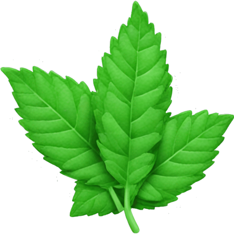 A mint leaf emoji