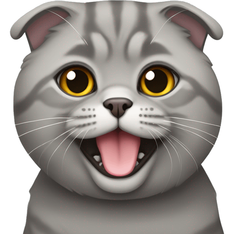 Gray Scottish fold cat  emoji