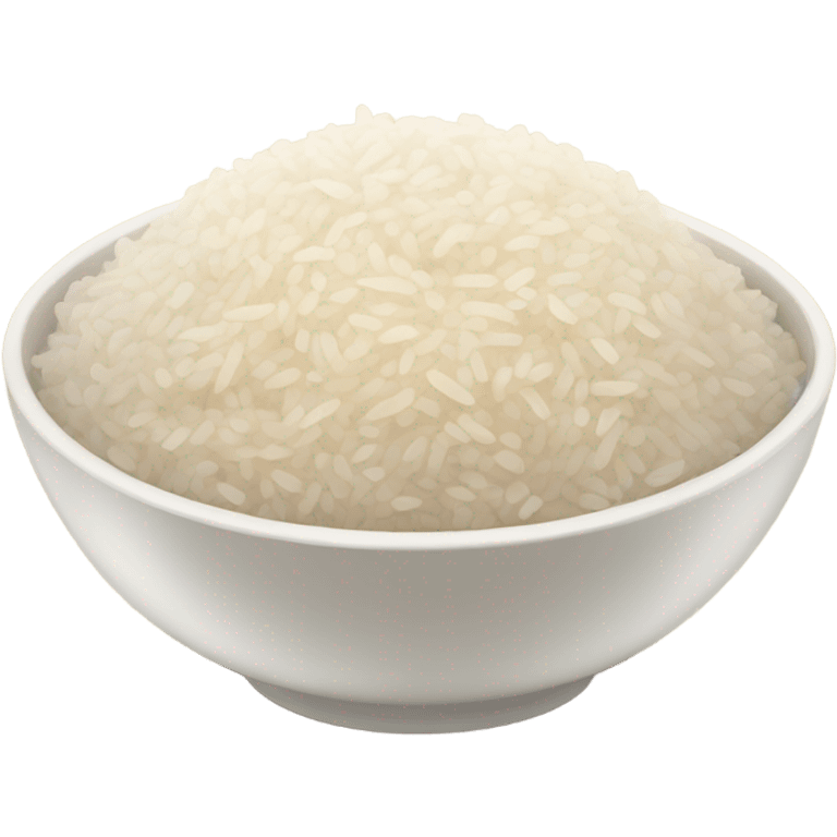 bowl of rice with chicken emoji