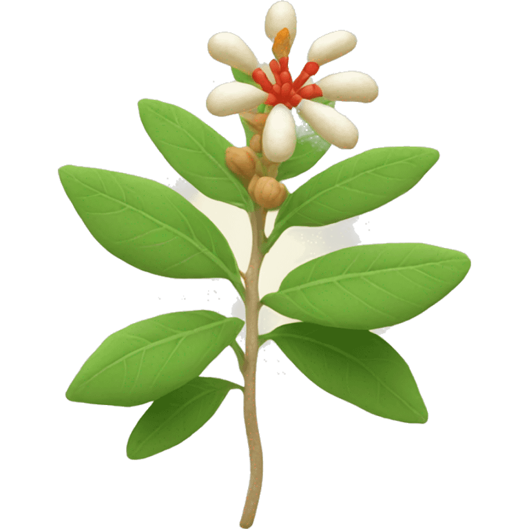 ashwagandha plant emoji