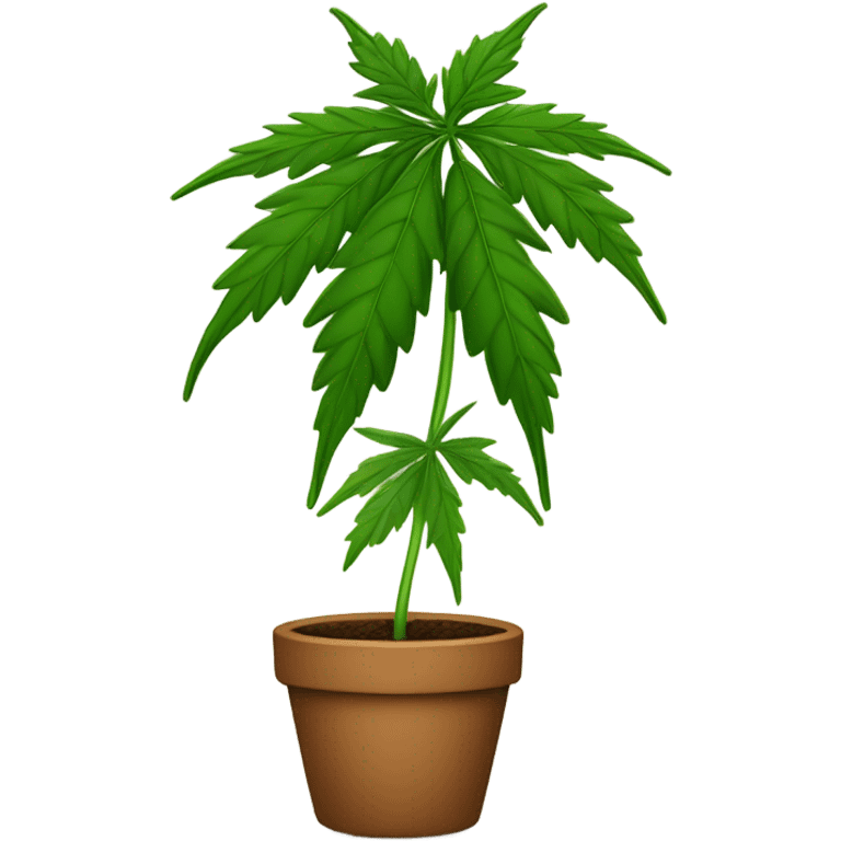 Potted Cannabis sativa tree proportionate apple emoji