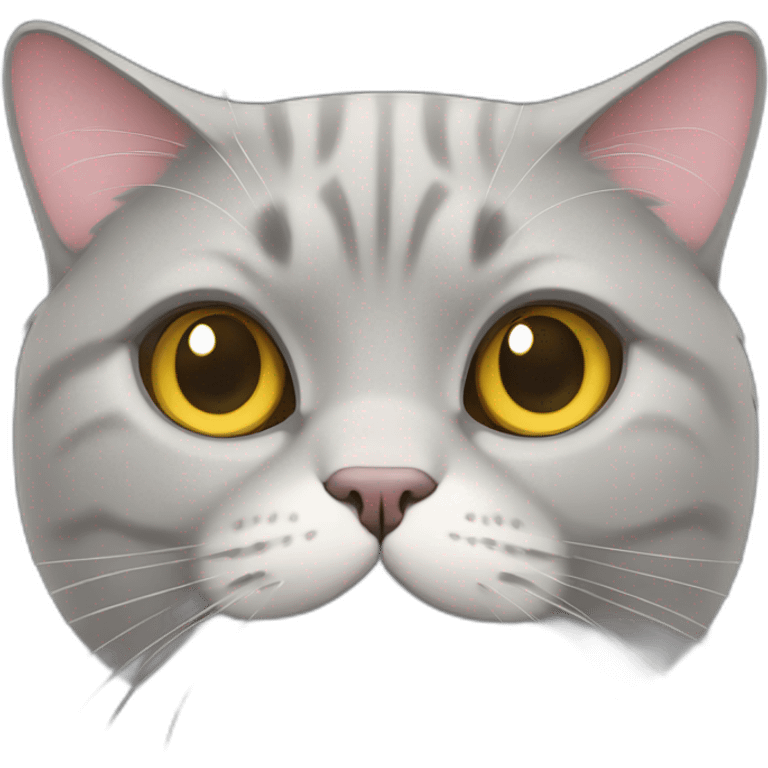 British grey fat cat emoji