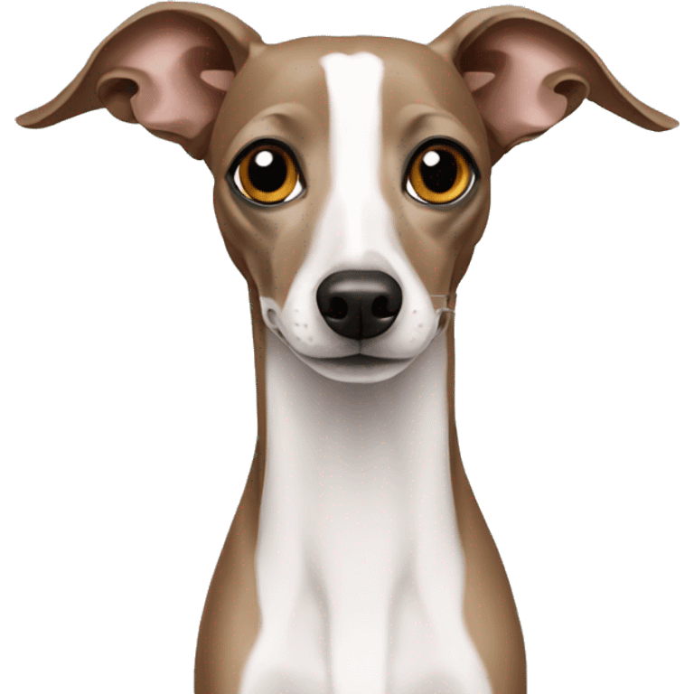 italian greyhound emoji