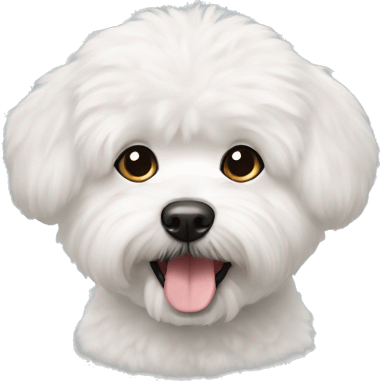 bishon frise emoji