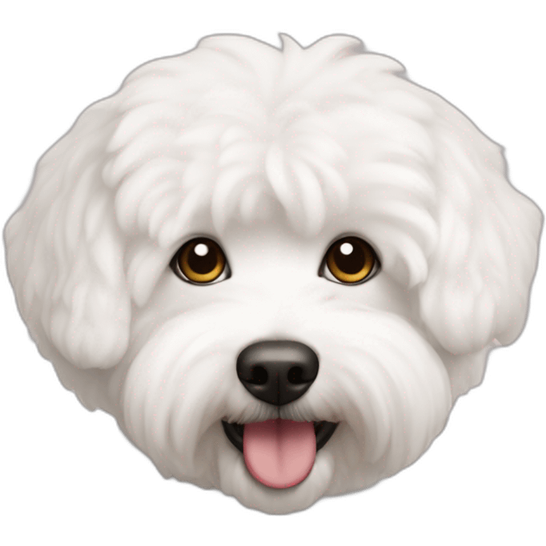 bichon havanais emoji