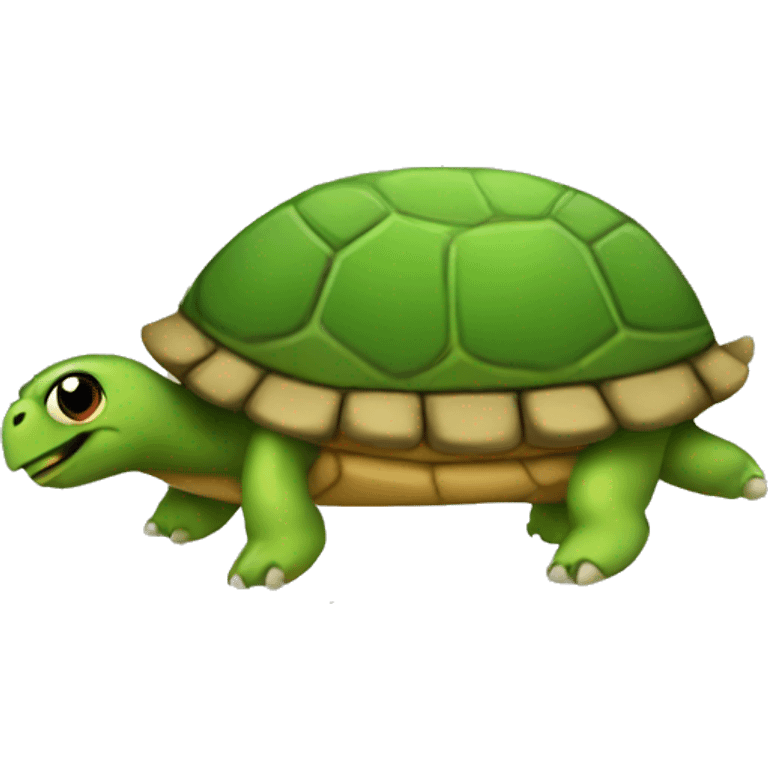  Gay Turtle  emoji