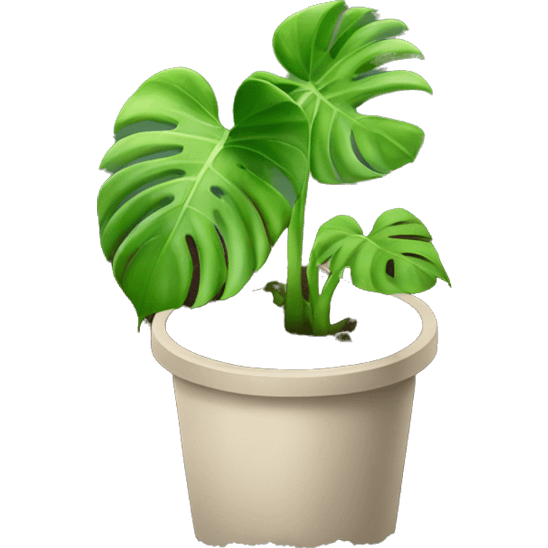 A monstera plant in soil with no pot emoji